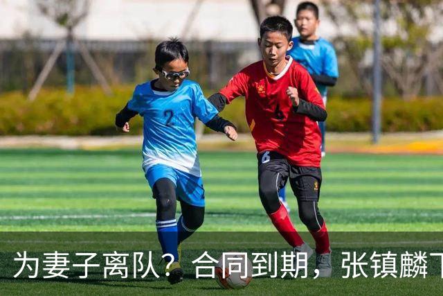 为妻子离队？合同到期，张镇麟下家4选1，广东2队有机会