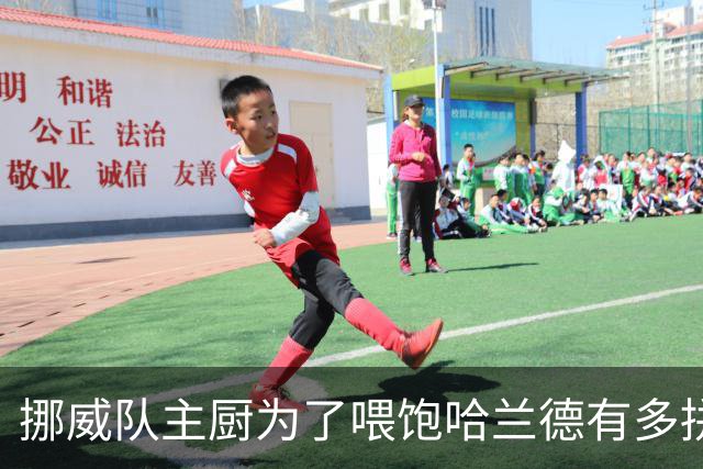挪威队主厨为了喂饱哈兰德有多拼？他每天要补充6000卡路里热量，进入淘汰赛后球队紧急订购食材
